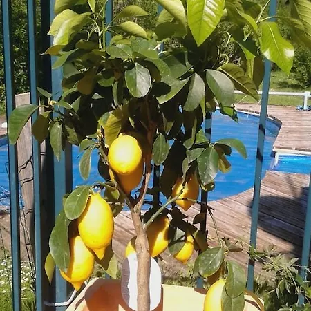 4 Bedroom With Private Pool Within 5 Minute Walk Into